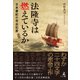 法隆寺は燃えているか 日本書紀の完全犯罪（幻冬舎メディアコンサルティング） [電子書籍]