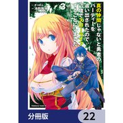 真の仲間じゃないと勇者のパーティーを追い出されたので、辺境でスローライフすることにしました【分冊版】 22（KADOKAWA） [電子書籍]