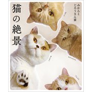 猫の絶景（KADOKAWA） [電子書籍]