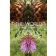 ：THE WORLD - 「symmetry」♯flowers of july（バズブッカ） [電子書籍]
