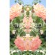 ：THE WORLD - 「symmetry」♯flowers of june（バズブッカ） [電子書籍]
