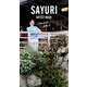 SAYURI（バズブッカ） [電子書籍]