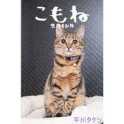 こもね～生後6か月～（バズブッカ） [電子書籍]