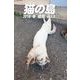 猫の島 2018 冬 相島 vol.3（バズブッカ） [電子書籍]