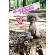 リオンとチャーリー ♯3野生に帰る日（バズブッカ） [電子書籍]