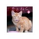 そとねこ VOL.08（PAD） [電子書籍]