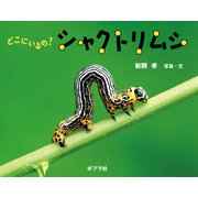 どこにいるの？ シャクトリムシ（ポプラ社） [電子書籍]