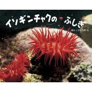 イソギンチャクのふしぎ（ポプラ社） [電子書籍]