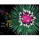 やさいの花（ポプラ社） [電子書籍]