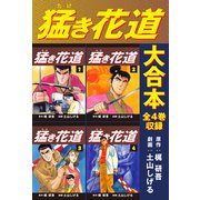 猛き花道 大合本 全4巻収録（ナンバーナイン） [電子書籍]