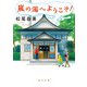 嵐の湯へようこそ！（KADOKAWA） [電子書籍]