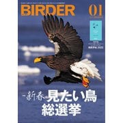 BIRDER（バーダー） 2022年1月号（文一総合出版） [電子書籍]
