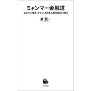 ミャンマー金融道（河出書房新社） [電子書籍]