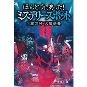 ほんとうにあった！ミステリースポット （1）霧の峠・人形供養（汐文社） [電子書籍]