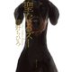 聖なるズー（集英社） [電子書籍]