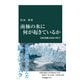 南極の氷に何が起きているか 気候変動と氷床の科学（中央公論新社） [電子書籍]