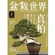 盆栽世界 2022年2月号（エスプレス・メディア出版） [電子書籍]