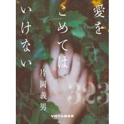 愛をこめてはいけない（VOYAGER（ボイジャー）） [電子書籍]