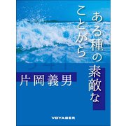 ある種の素敵なことがら（VOYAGER（ボイジャー）） [電子書籍]