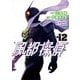 風都探偵 12（小学館） [電子書籍]