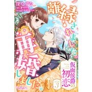 離縁されました。再婚しました。 仮面侯爵の初恋3（メディアソフト） [電子書籍]