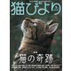 猫びより2019年5月号 Vol.105（辰巳出版） [電子書籍]