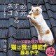 必死すぎるネコ ～一心不乱篇～（辰巳出版ebooks） [電子書籍]