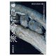 鳥に会う旅（世界文化社） [電子書籍]