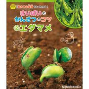 エダマメ（岩崎書店） [電子書籍]