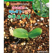 キュウリ（岩崎書店） [電子書籍]