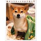 柴犬コウちゃんの女子道入門 オモロかわいいシバ写真画報（文藝春秋） [電子書籍]