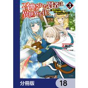 召喚された賢者は異世界を往く ～最強なのは不要在庫のアイテムでした～【分冊版】 18（KADOKAWA） [電子書籍]