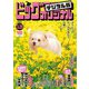 ビッグコミックオリジナル 2022年6号（2022年3月4日発売）（小学館） [電子書籍]
