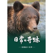 日常の奇跡―― 安藤誠の世界 ――（どう出版） [電子書籍]