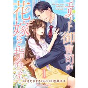 エリート御曹司が花嫁にご指名です1巻（スターツ出版） [電子書籍]