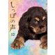 しっぽの声 12（小学館） [電子書籍]
