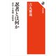 忍者とは何か 忍法・手裏剣・黒装束（KADOKAWA） [電子書籍]