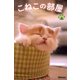 こねこの部屋 2（PAD） [電子書籍]