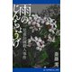 雨のじんちょうげ 児童公園殺人事件（アドレナライズ） [電子書籍]