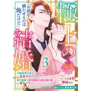 【ベリーズ文庫溺愛アンソロジー】極上の結婚3～帝王&富豪編～（イラスト付き）（スターツ出版） [電子書籍]