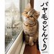 パヤ毛のどんぐり（KADOKAWA） [電子書籍]
