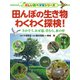 田んぼの生き物わくわく探検！ さがそう、あぜ道、草むら、水の中（PHP研究所） [電子書籍]