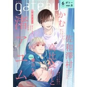 gateau （ガトー） 2022年6月号 ver.B（一迅社） [電子書籍]