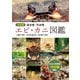 日本産 淡水性・汽水性エビ・カニ図鑑（緑書房） [電子書籍]