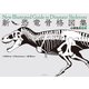 小林快次監修 新・恐竜骨格図集（イースト･プレス） [電子書籍]