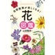自然散策が楽しくなる！ 花図鑑（池田書店）（PHP研究所） [電子書籍]