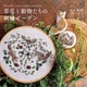 【図案ダウンロードつき】草花と動物たちの刺繍ガーデン（日本文芸社） [電子書籍]