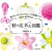 野の花拡大図鑑（日本文芸社） [電子書籍]