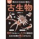 眠れなくなるほど面白い 図解 古生物（日本文芸社） [電子書籍]