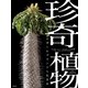 珍奇植物 ビザールプランツと生きる（日本文芸社） [電子書籍]